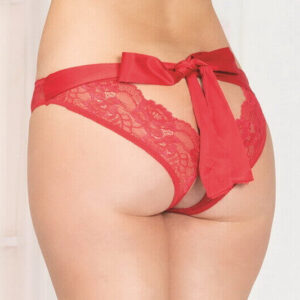 Red Mesh Lace Open Crotch Panty